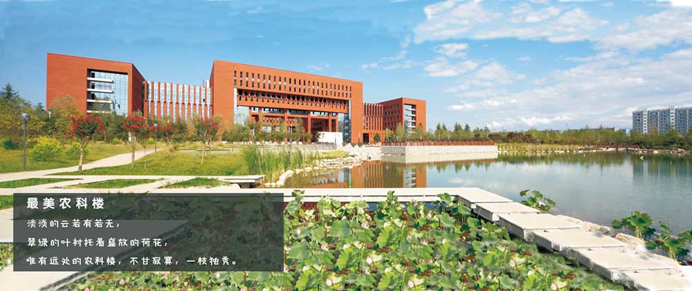 西北农林科技大学